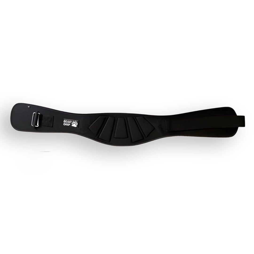 Curved Weight Lifting Belt with Lumbar Back Support